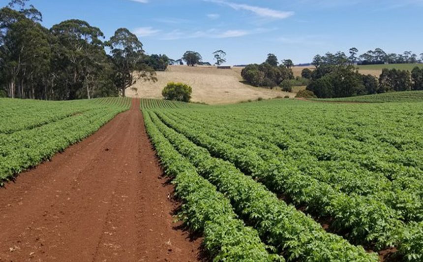 Holland Greentech AgroCares