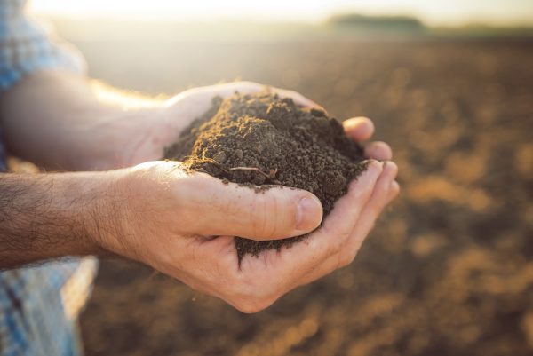 Transparency: Food Chain - AgroCares