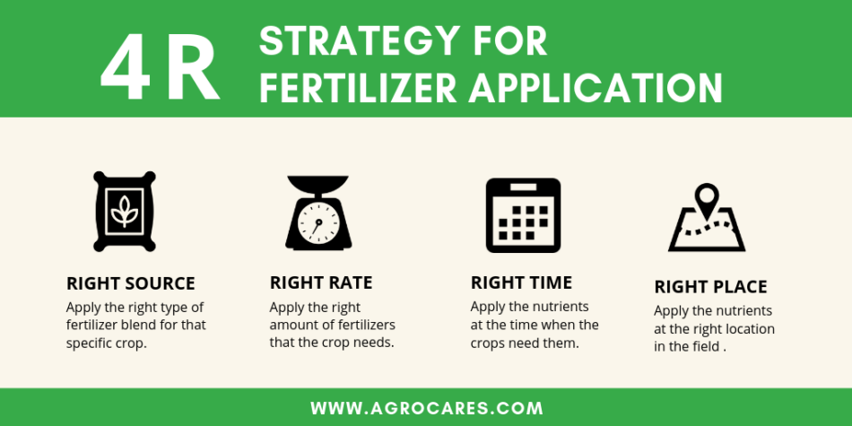 Maintaining Soil: Cacao Production - AgroCares