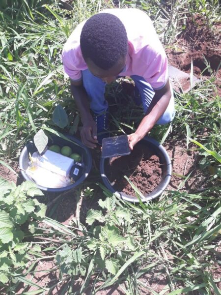 New Partner: Solidaridad - AgroCares
