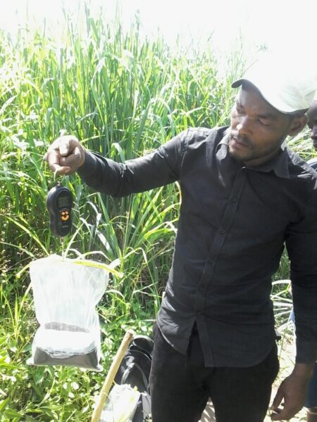 New Partner: Solidaridad - AgroCares