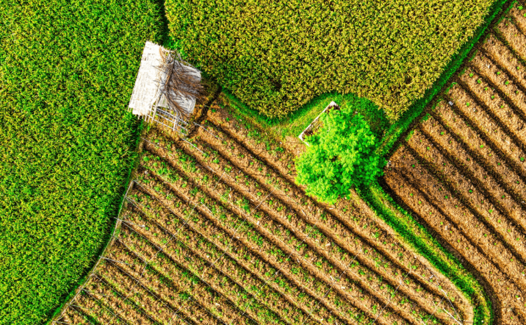 Transforming Carbon Farming