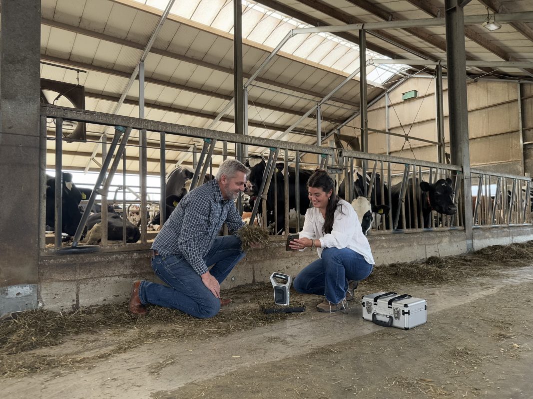 Feed sample being scanned with the AgroCares Scanner in a dairy barn