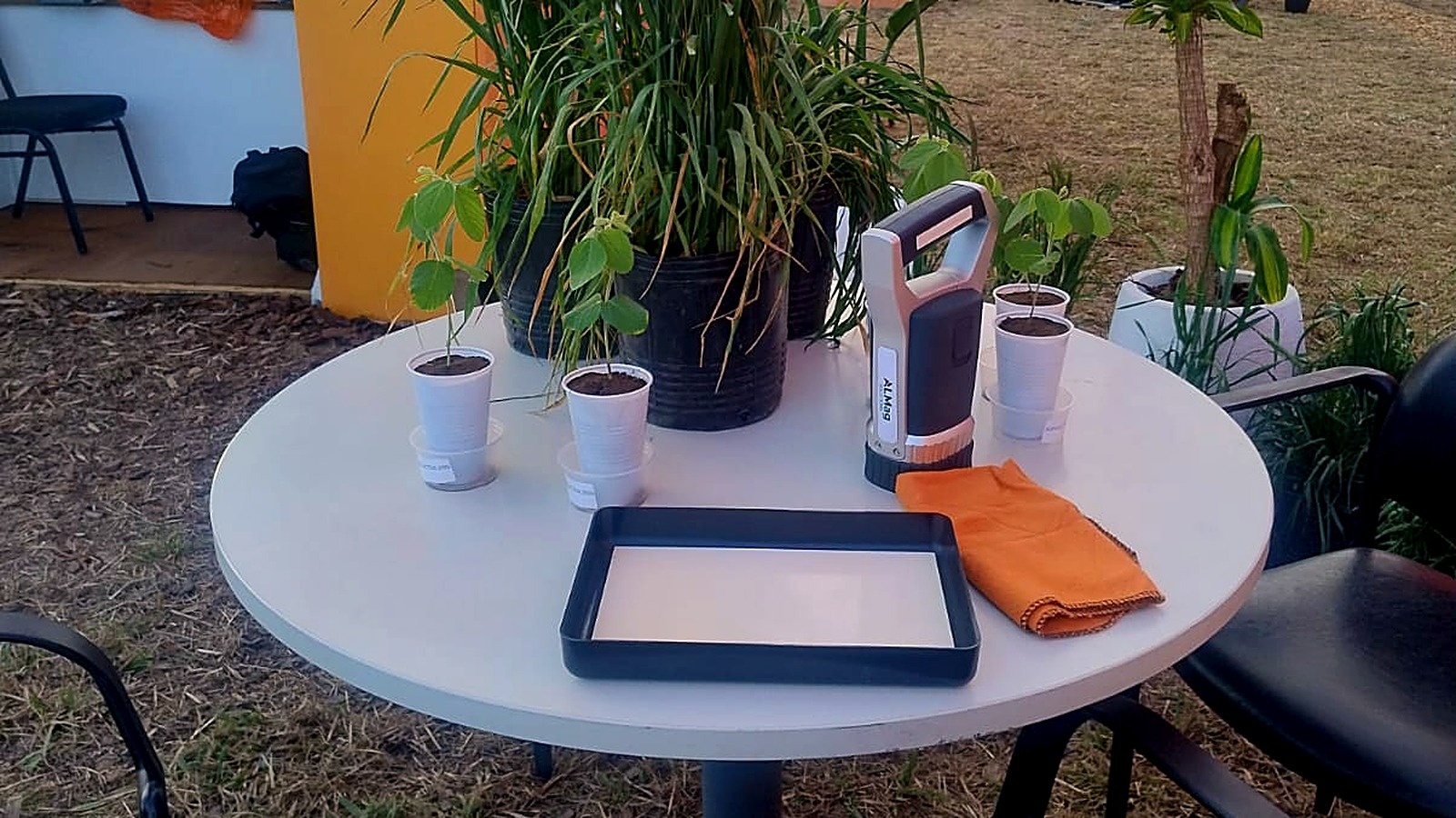 AgroCares scanner at the ALMag stand at AgroActiva, Argentina